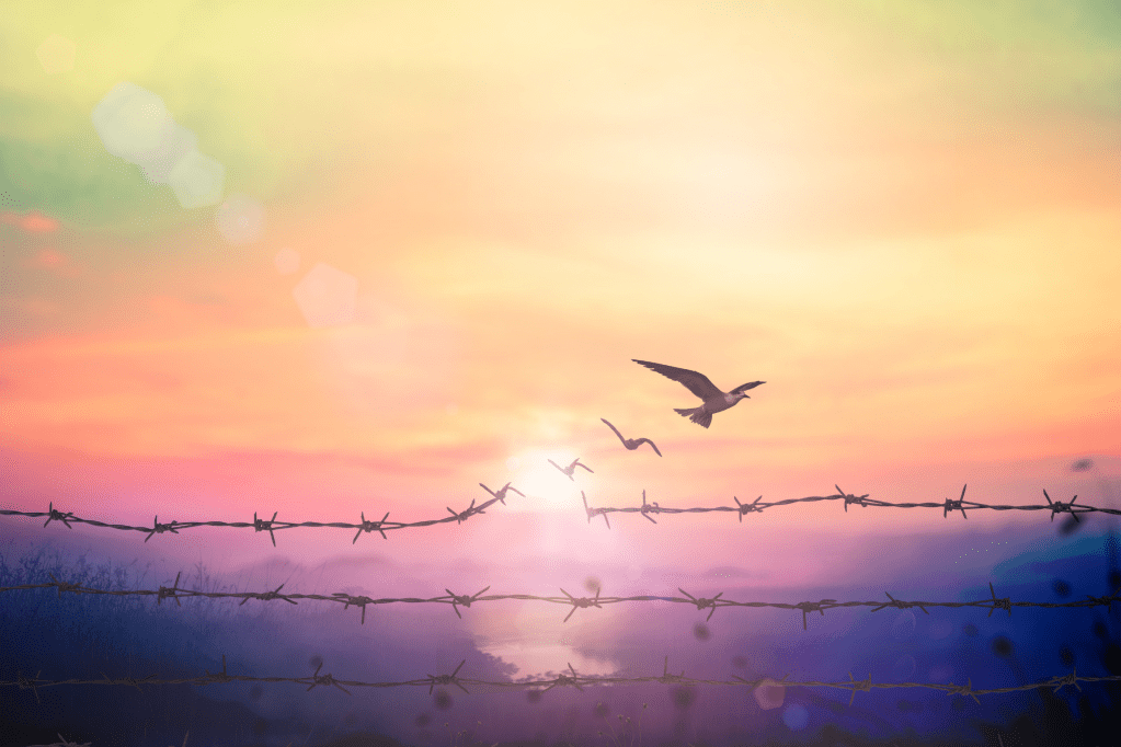 I Don’t Have Student Loans – I’d Still Like for the Government to Forgive&nbsp;Them