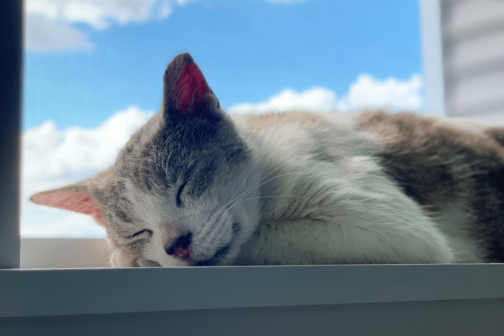 Something Close Enough