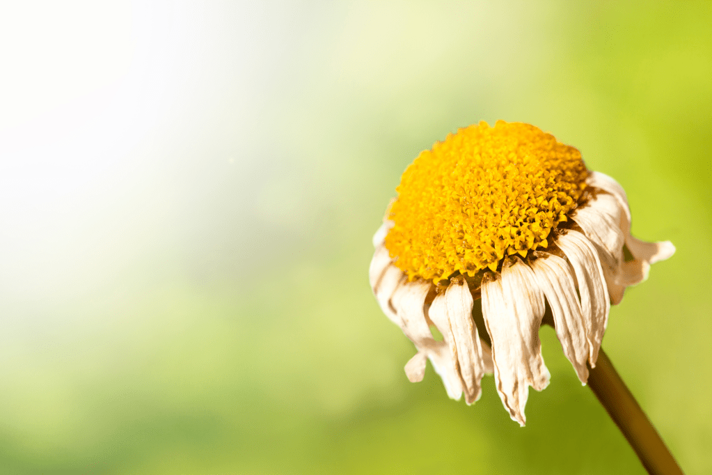 There is No Going&nbsp;Back