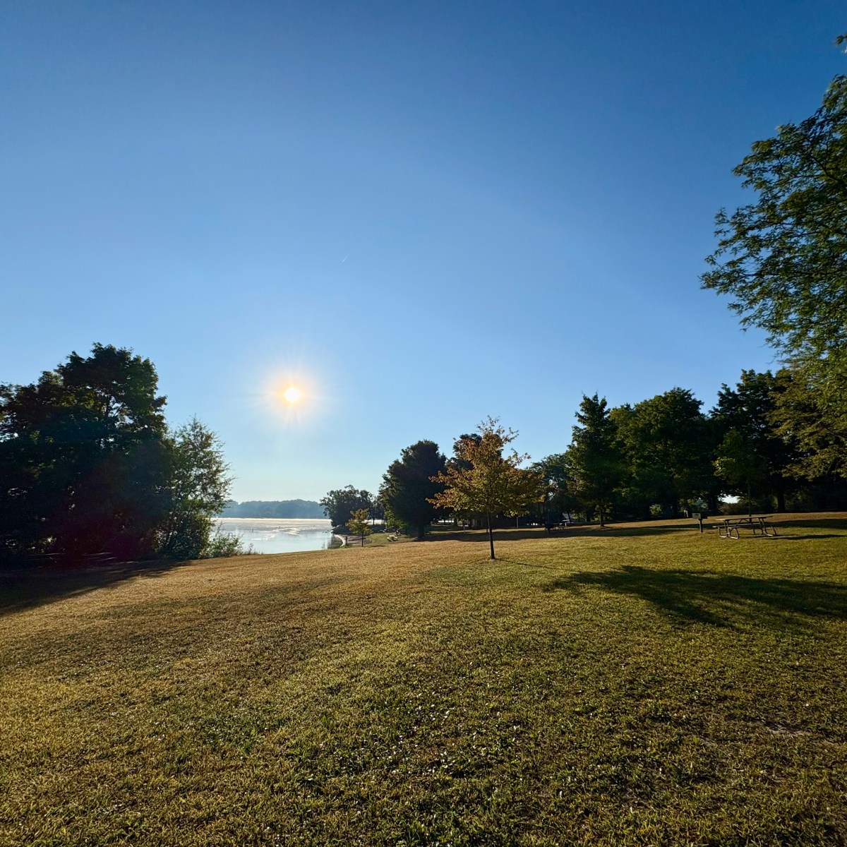 Keeping Up with&nbsp;Yourself